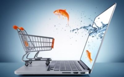 Opening Up to E-Commerce 