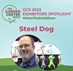 Steel Dog @ The Garden Center Show - 