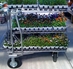TDI Carts & Trunk Liners @ The Garden Center Show - 